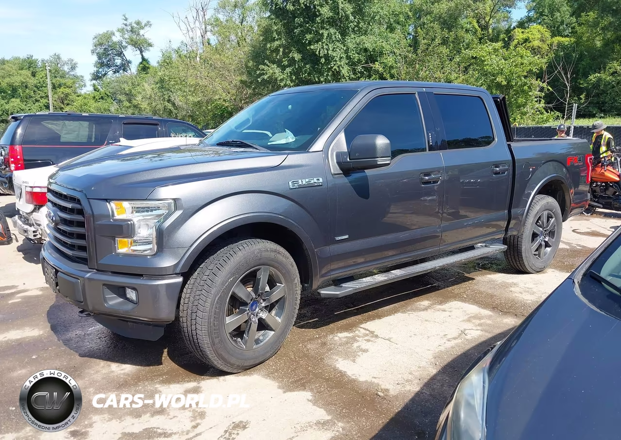 2016 Ford F-150 King Ranch-Lariat-Limited-Platinum-Xl-Xlt VIN:1FTEW1EG1GFD35615 - 2