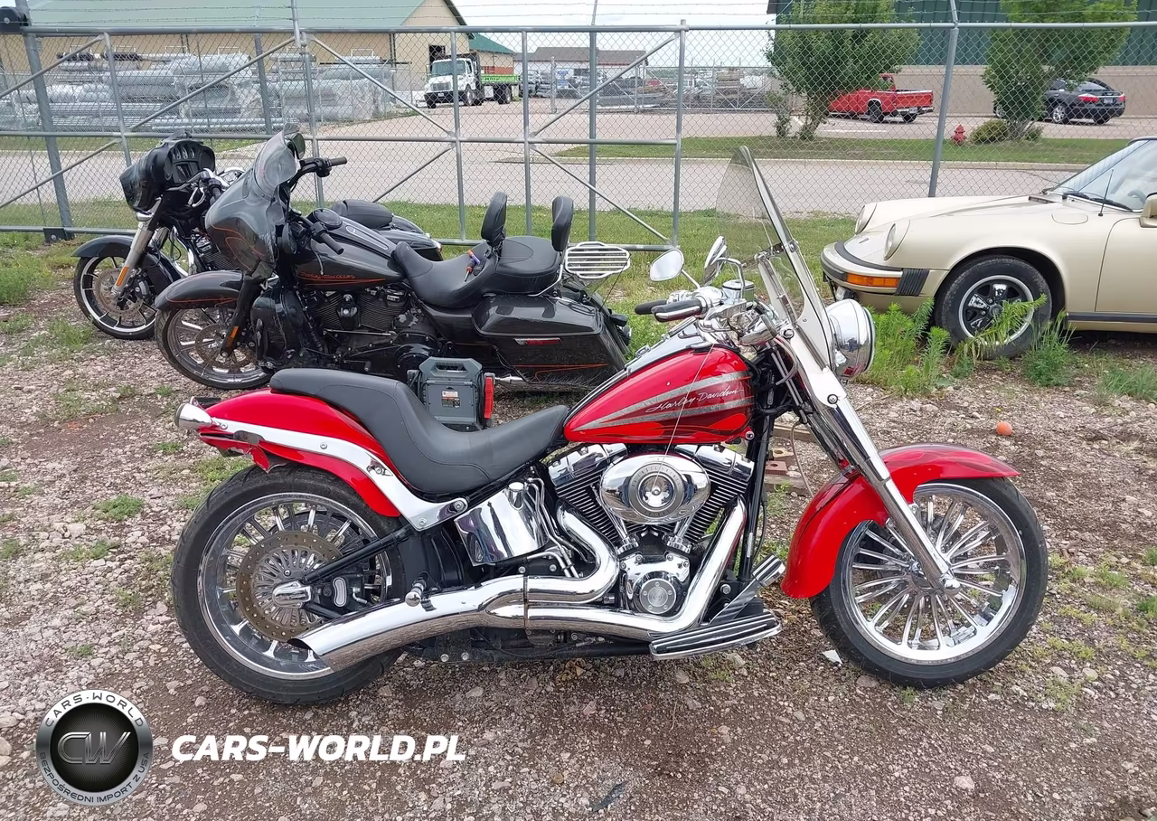 2008 Harley-Davidson Flstf VIN:1HD1BX5168Y037669 - 12