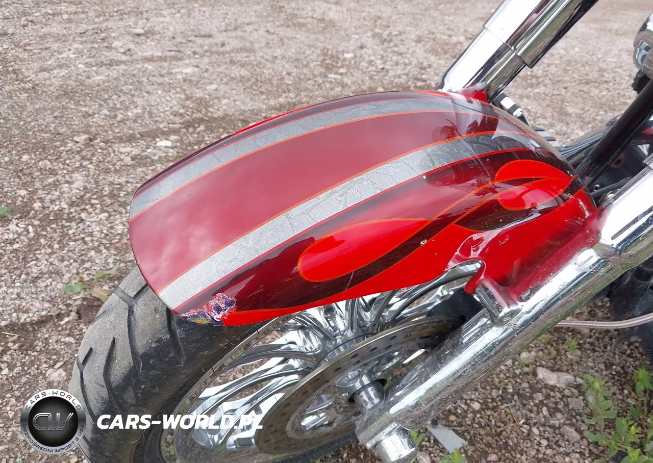 2008 Harley-Davidson Flstf VIN:1HD1BX5168Y037669 - 14