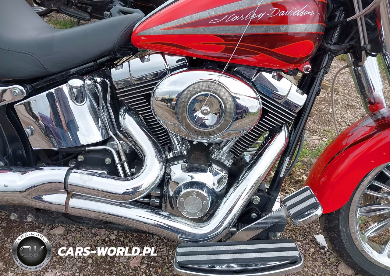 2008 Harley-Davidson Flstf VIN:1HD1BX5168Y037669 - 8