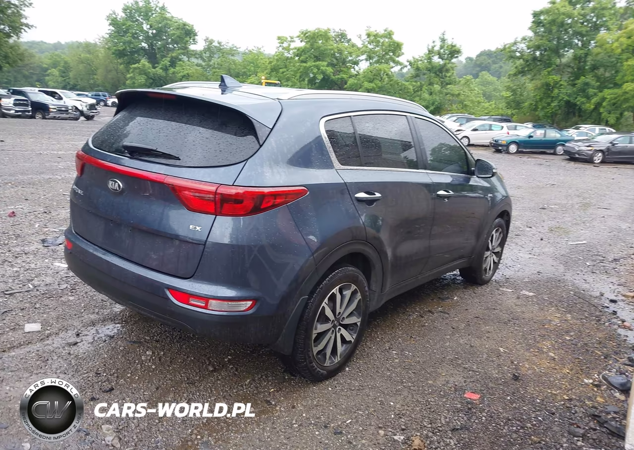 2019 Kia Sportage Ex VIN:KNDPNCAC1K7589726 - 4