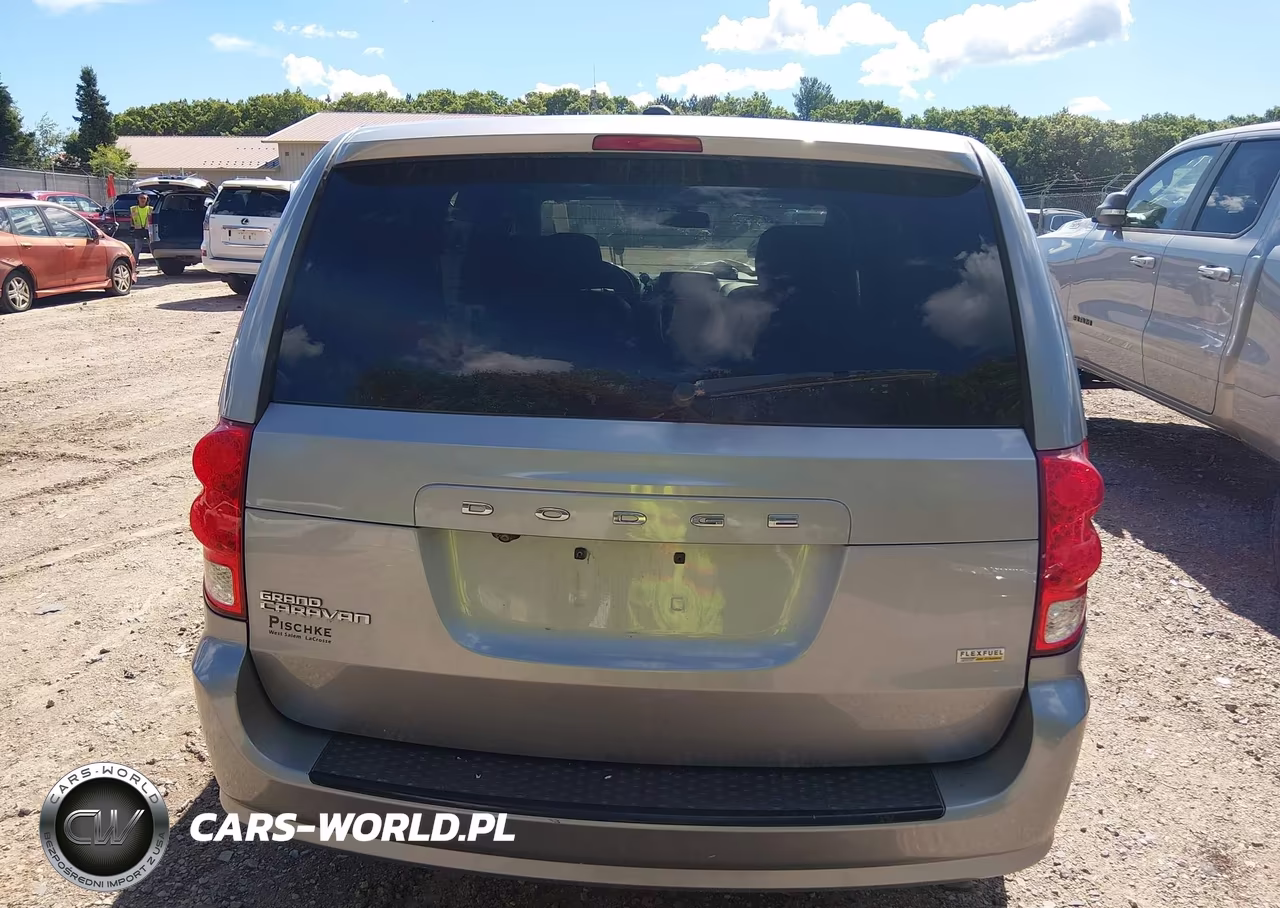2019 Dodge Grand Caravan Sxt VIN:2C4RDGCG9KR552893 - 16
