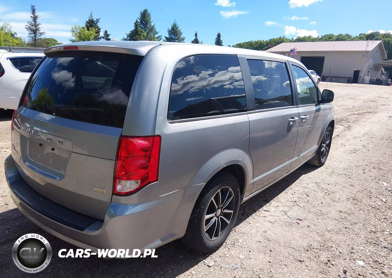 2019 Dodge Grand Caravan Sxt VIN:2C4RDGCG9KR552893 - 4