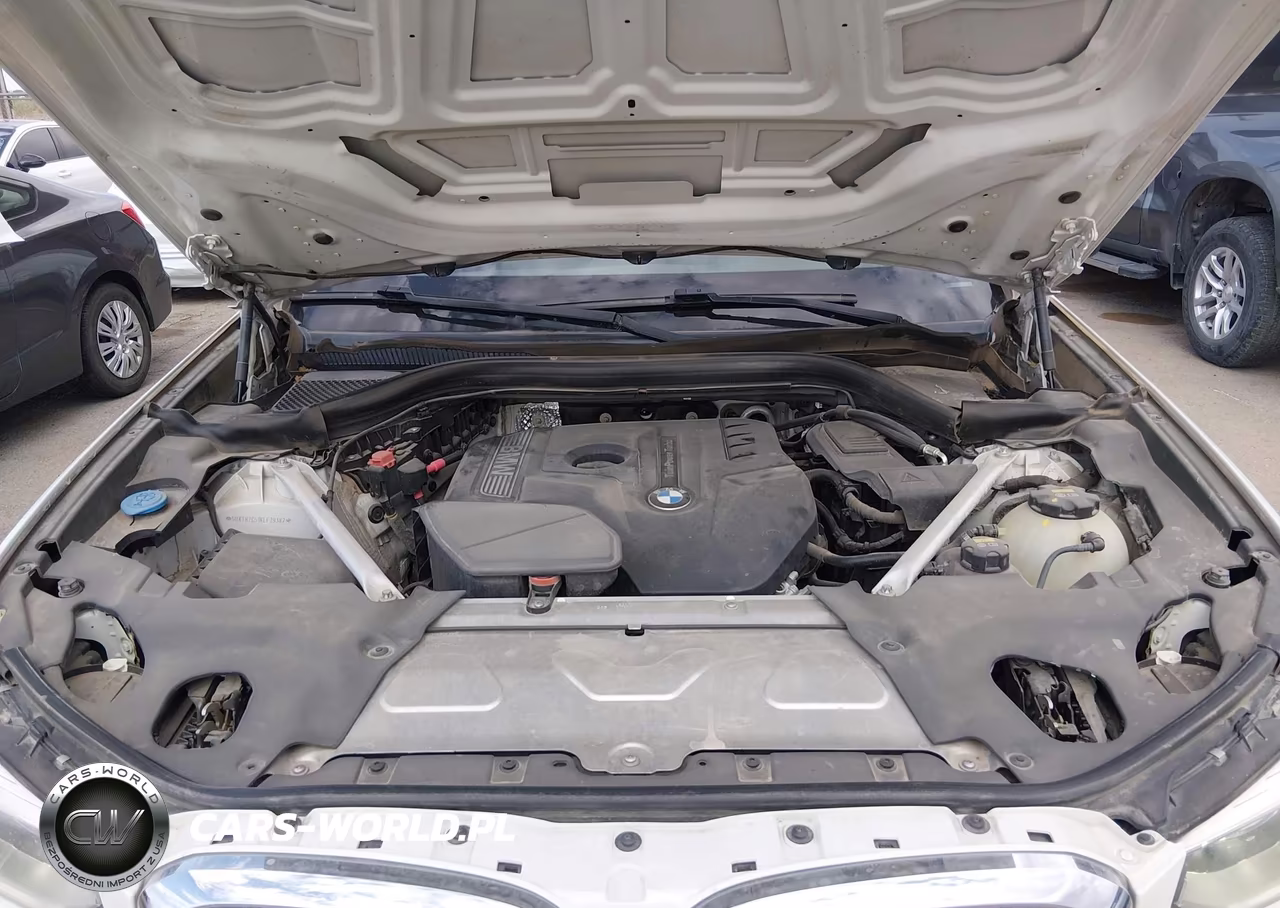 2019 BMW X3 Sdrive30I VIN:5UXTR7C51KLF29382 - 10