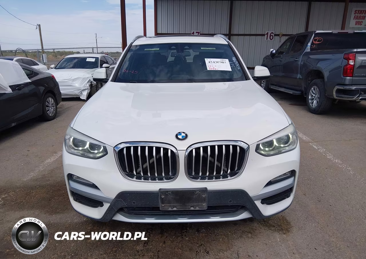 2019 BMW X3 Sdrive30I VIN:5UXTR7C51KLF29382 - 12