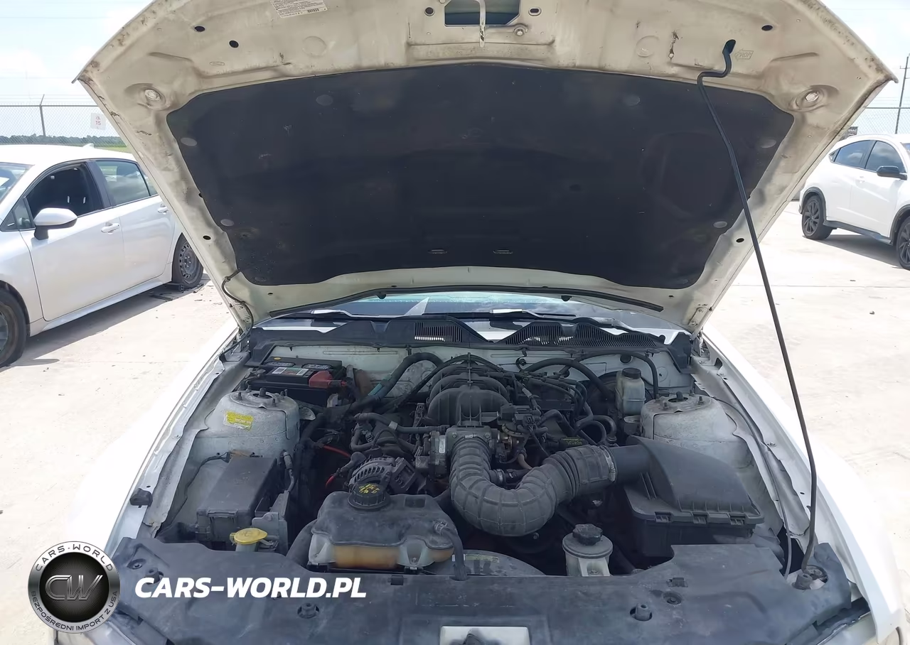 2010 Ford Mustang V6-V6 Premium VIN:1ZVBP8AN5A5142827 - 10