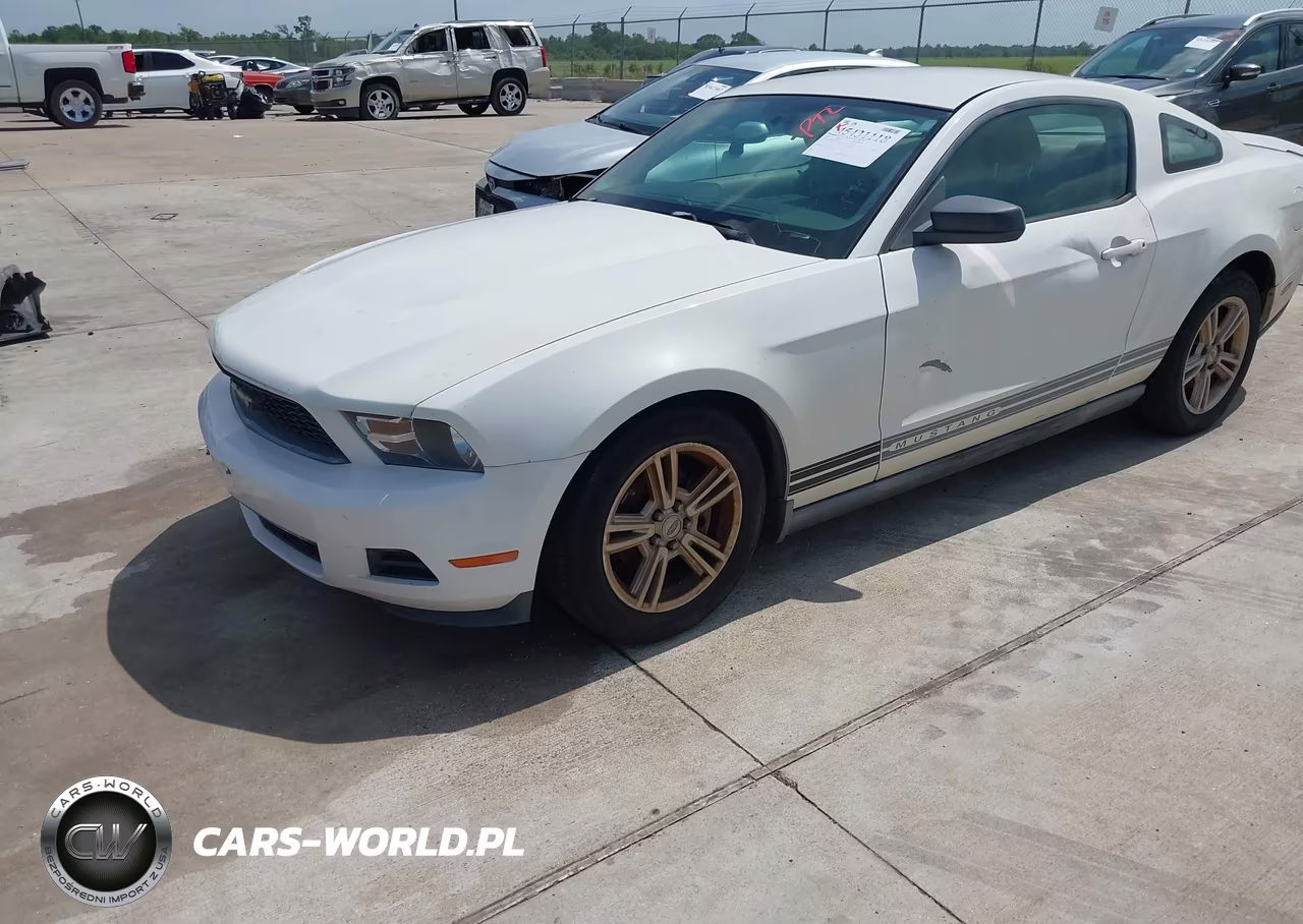2010 Ford Mustang V6-V6 Premium VIN:1ZVBP8AN5A5142827 - 2