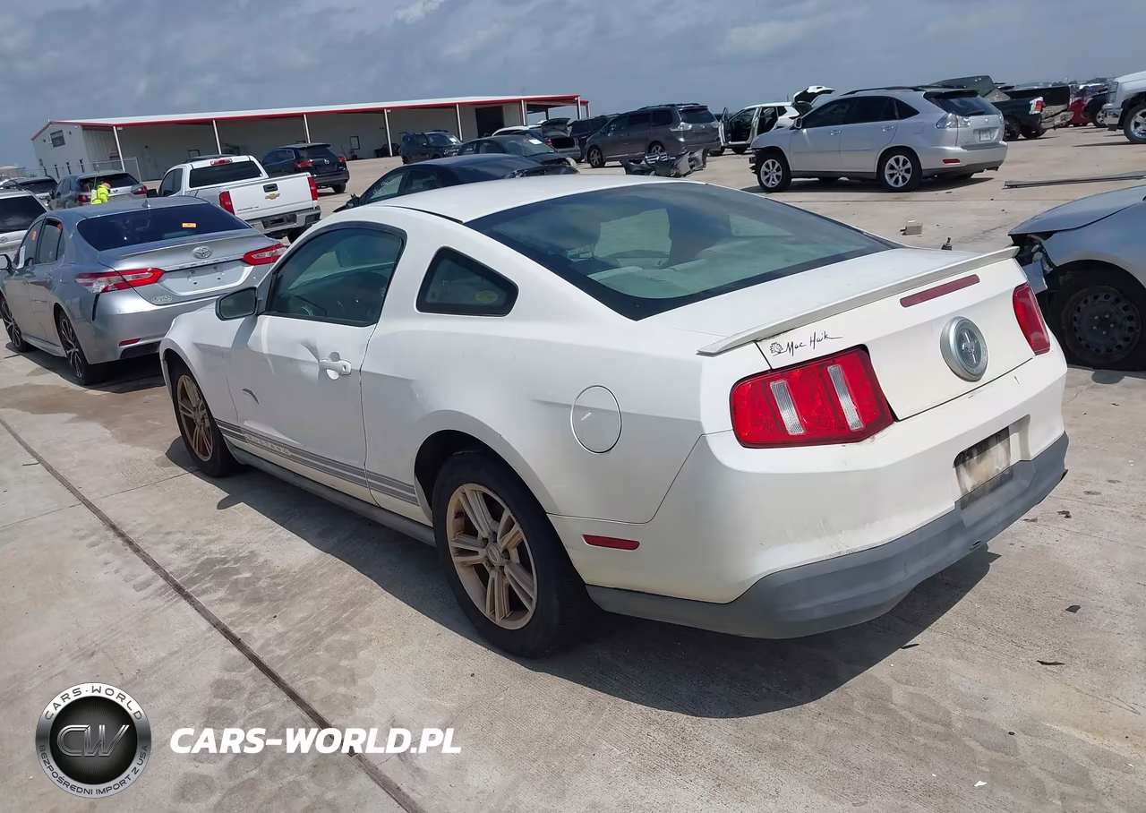2010 Ford Mustang V6-V6 Premium VIN:1ZVBP8AN5A5142827 - 3
