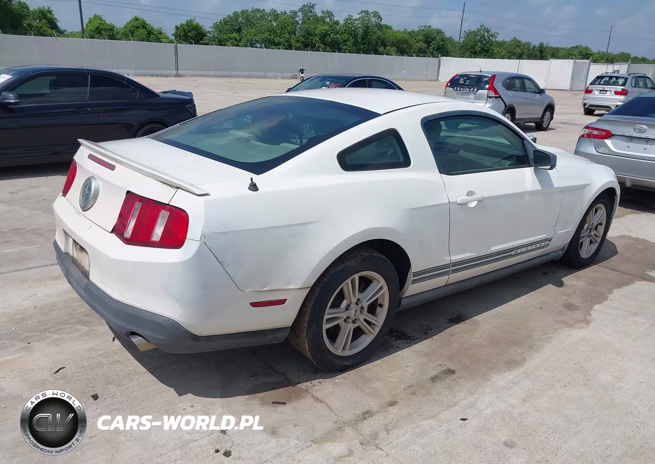 2010 Ford Mustang V6-V6 Premium VIN:1ZVBP8AN5A5142827 - 4