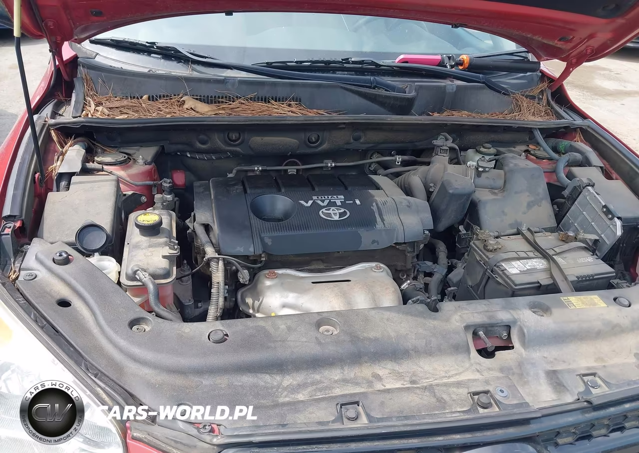 2009 Toyota Rav4 VIN:JTMZF33V49D006811 - 10