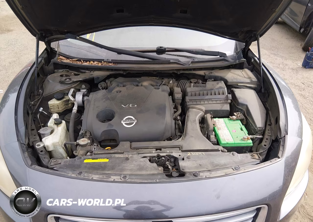 2013 Nissan Maxima 3.5 Sv VIN:1N4AA5AP8DC814501 - 10