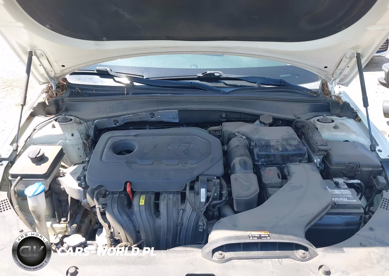 2016 Kia Optima Lx VIN:KNAGT4L35G5105937 - 10