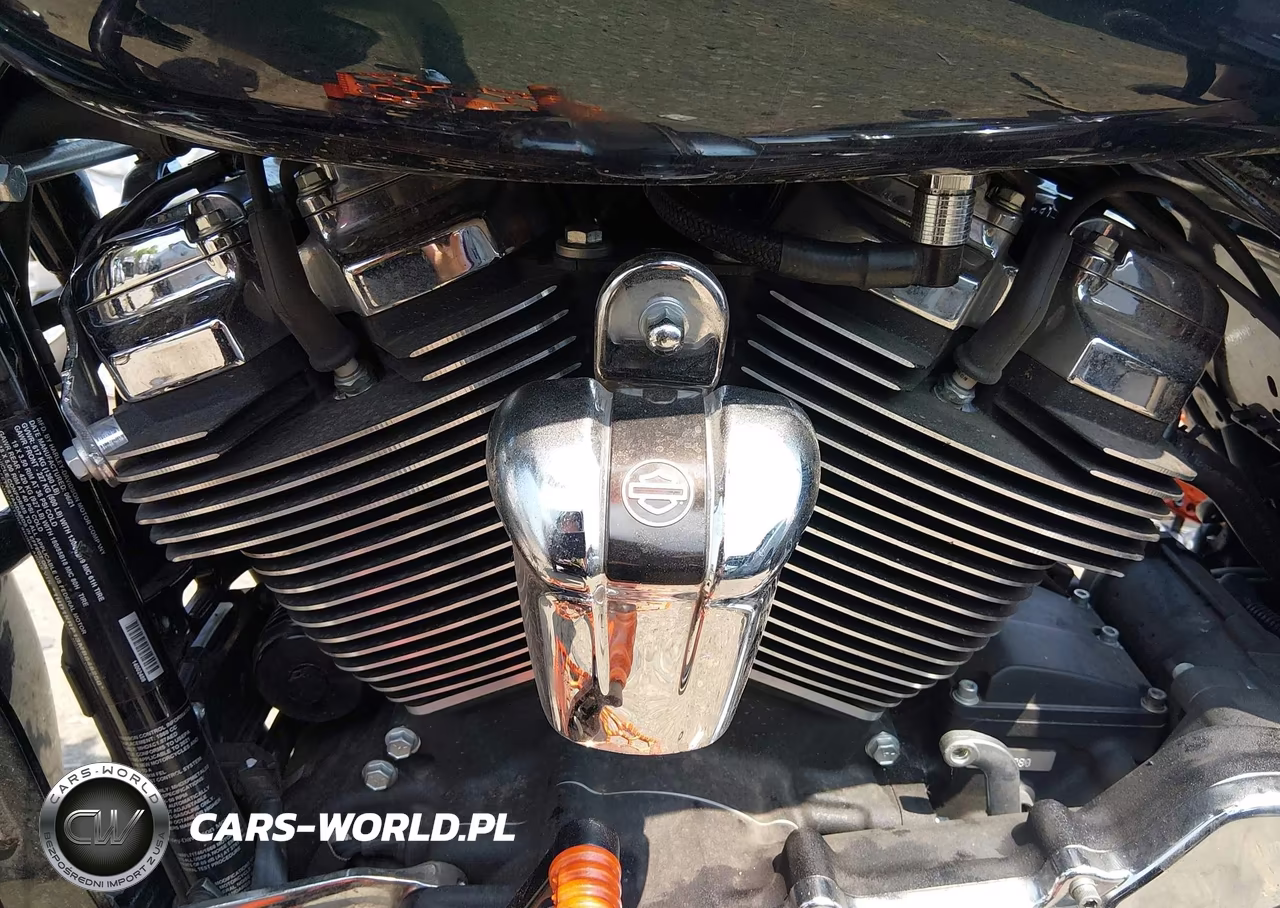 2021 Harley-Davidson Flhxs VIN:1HD1KRP13MB648250 - 9