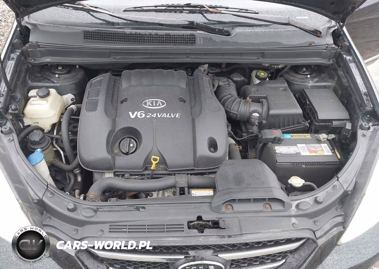 2007 Kia Rondo Ex V6 VIN:KNAFG526X77118480 - 10
