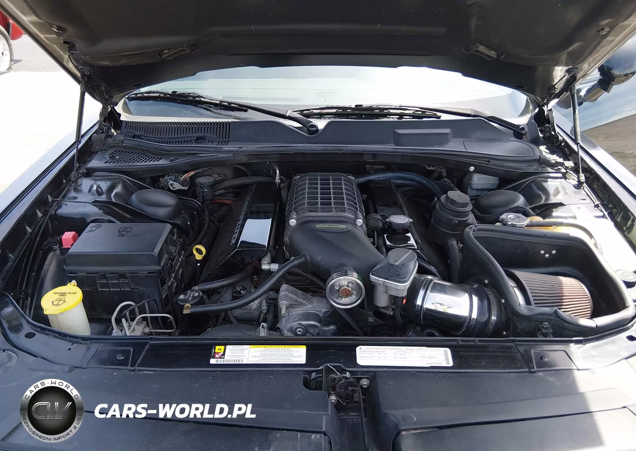 2009 Dodge Challenger Srt8 VIN:2B3LJ74W99H569764 - 10