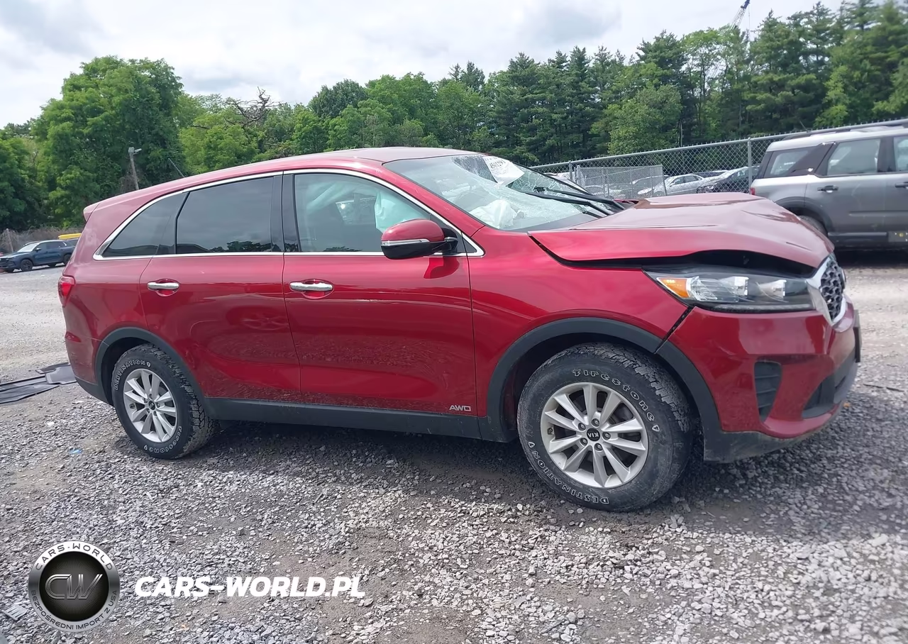 2019 Kia Sorento 2.4L Lx VIN:5XYPGDA35KG537230 - 13
