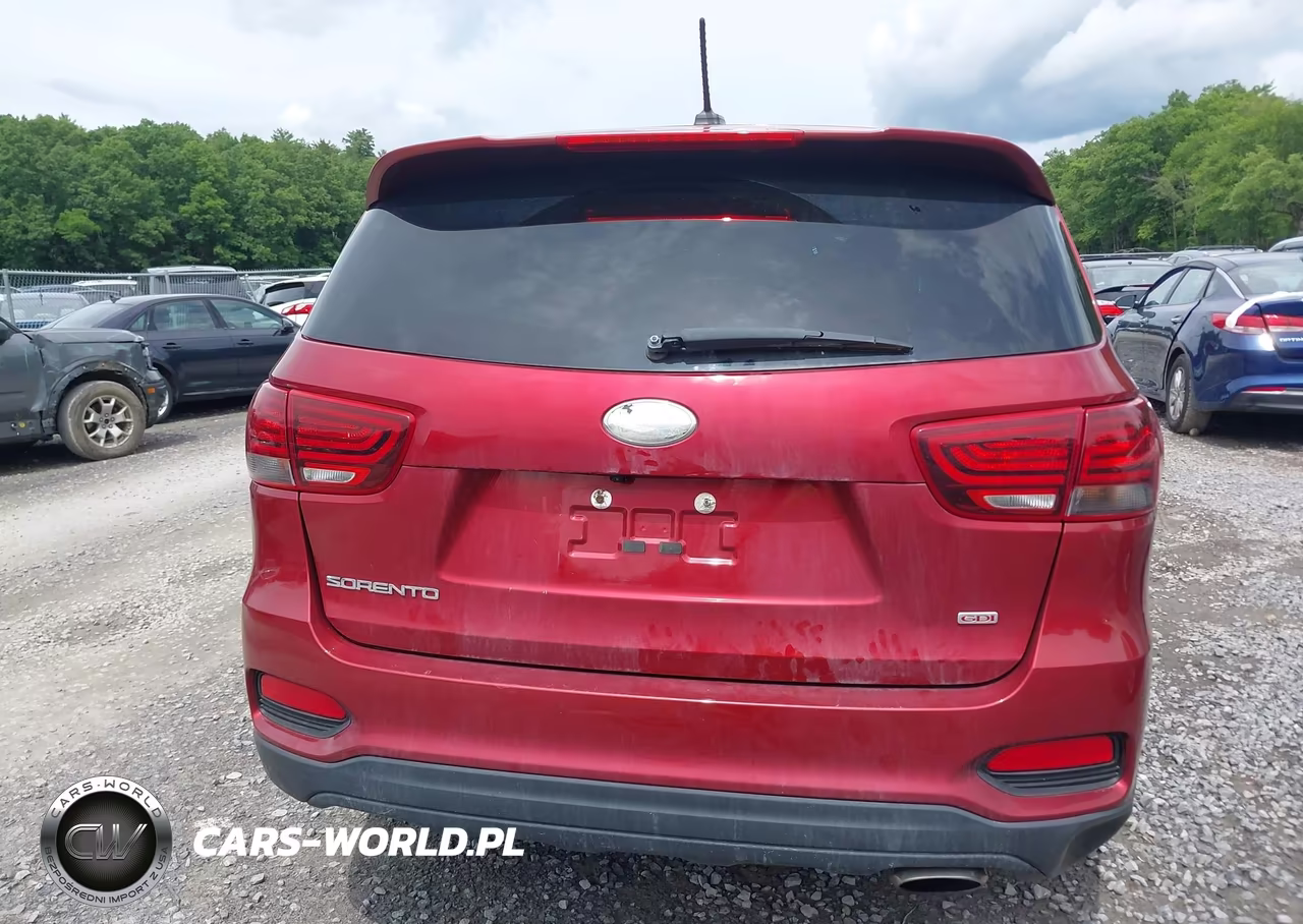 2019 Kia Sorento 2.4L Lx VIN:5XYPGDA35KG537230 - 16