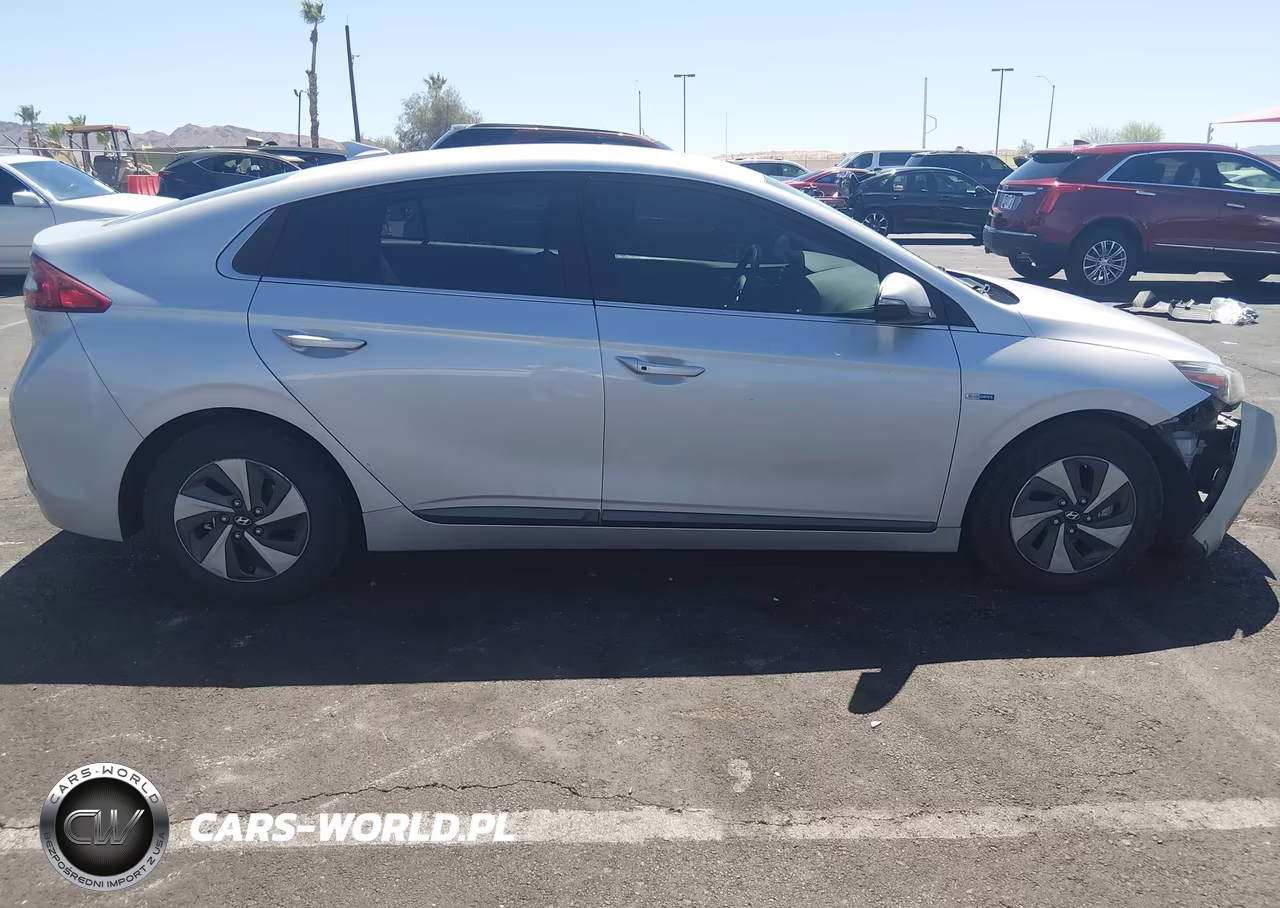 2019 Hyundai Ioniq Hybrid Sel VIN:KMHC75LC3KU139719 - 12