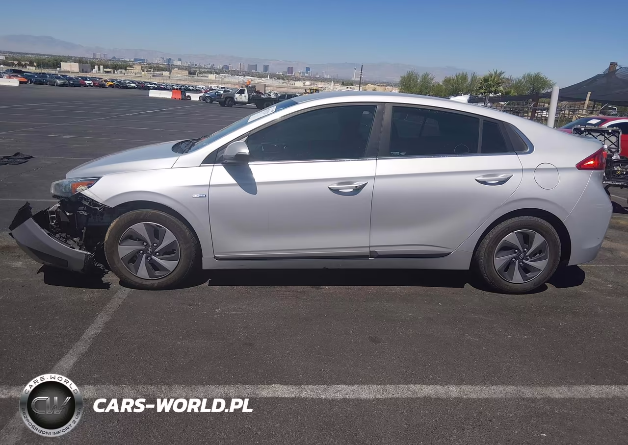 2019 Hyundai Ioniq Hybrid Sel VIN:KMHC75LC3KU139719 - 13