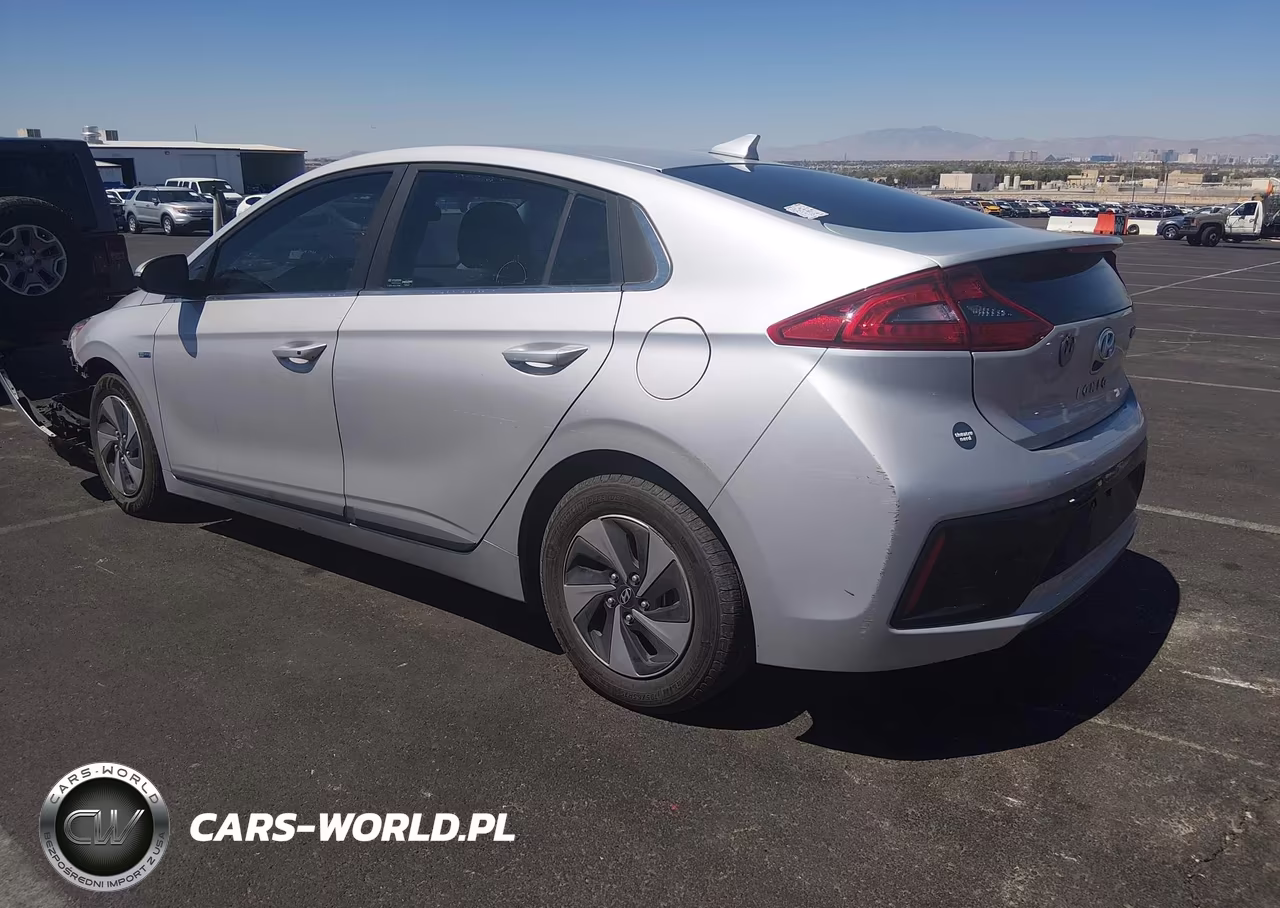 2019 Hyundai Ioniq Hybrid Sel VIN:KMHC75LC3KU139719 - 3