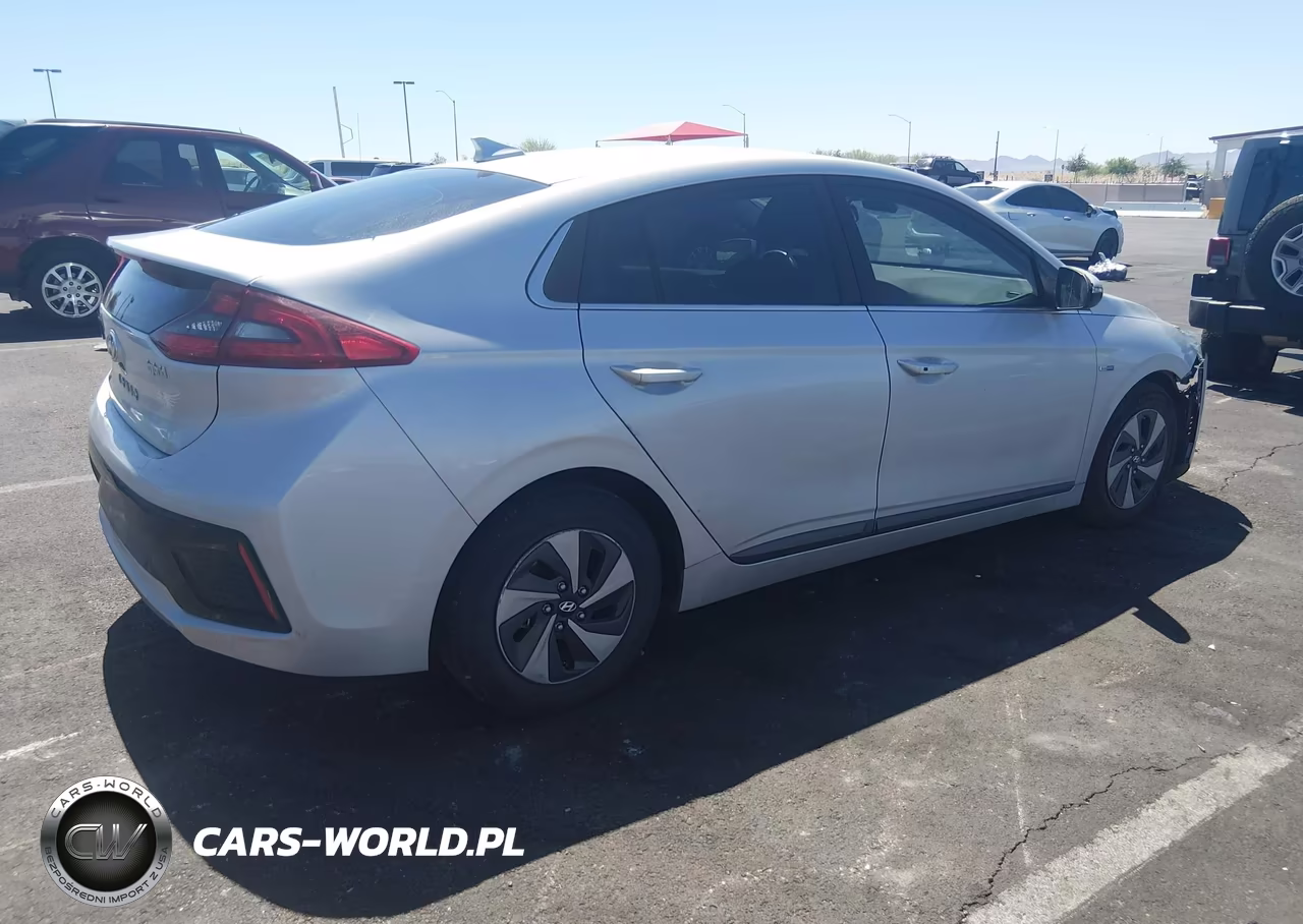 2019 Hyundai Ioniq Hybrid Sel VIN:KMHC75LC3KU139719 - 4