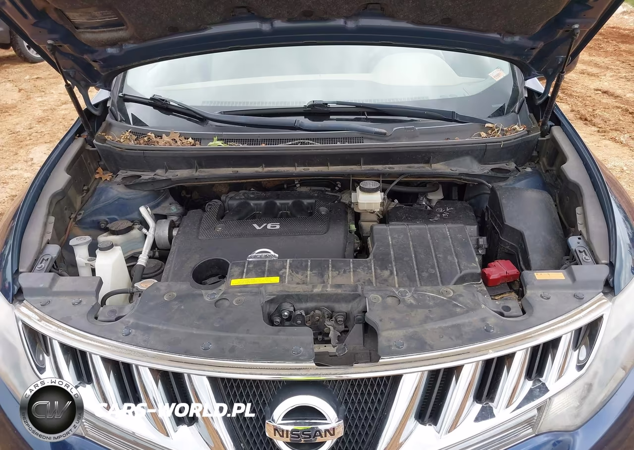 2010 Nissan Murano Le VIN:JN8AZ1MW8AW140024 - 10