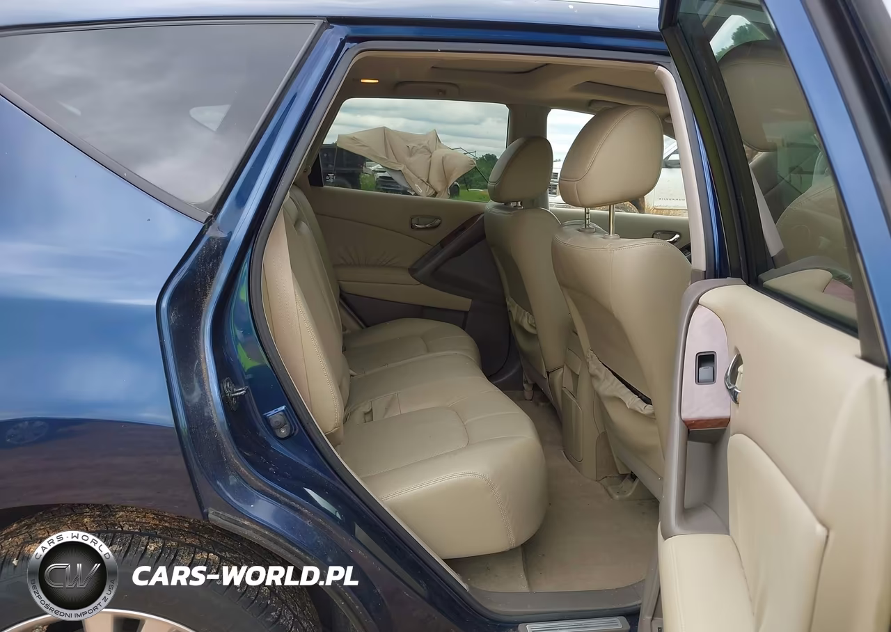 2010 Nissan Murano Le VIN:JN8AZ1MW8AW140024 - 8