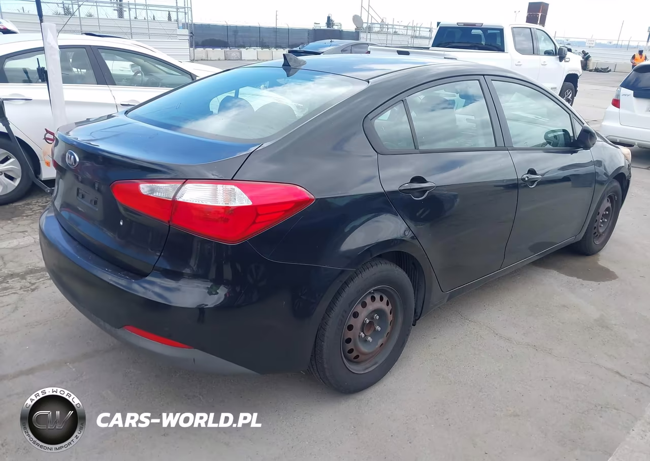 2014 Kia Forte Lx VIN:KNAFK4A60E5186466 - 4