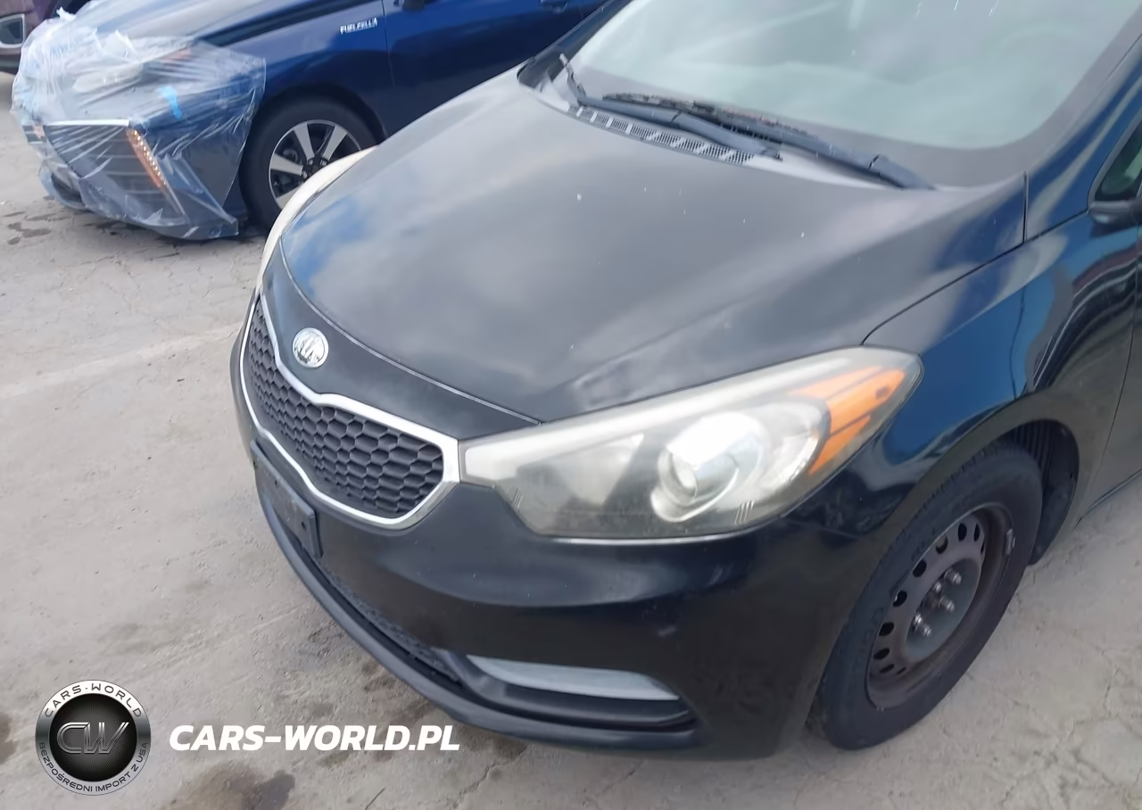 2014 Kia Forte Lx VIN:KNAFK4A60E5186466 - 6