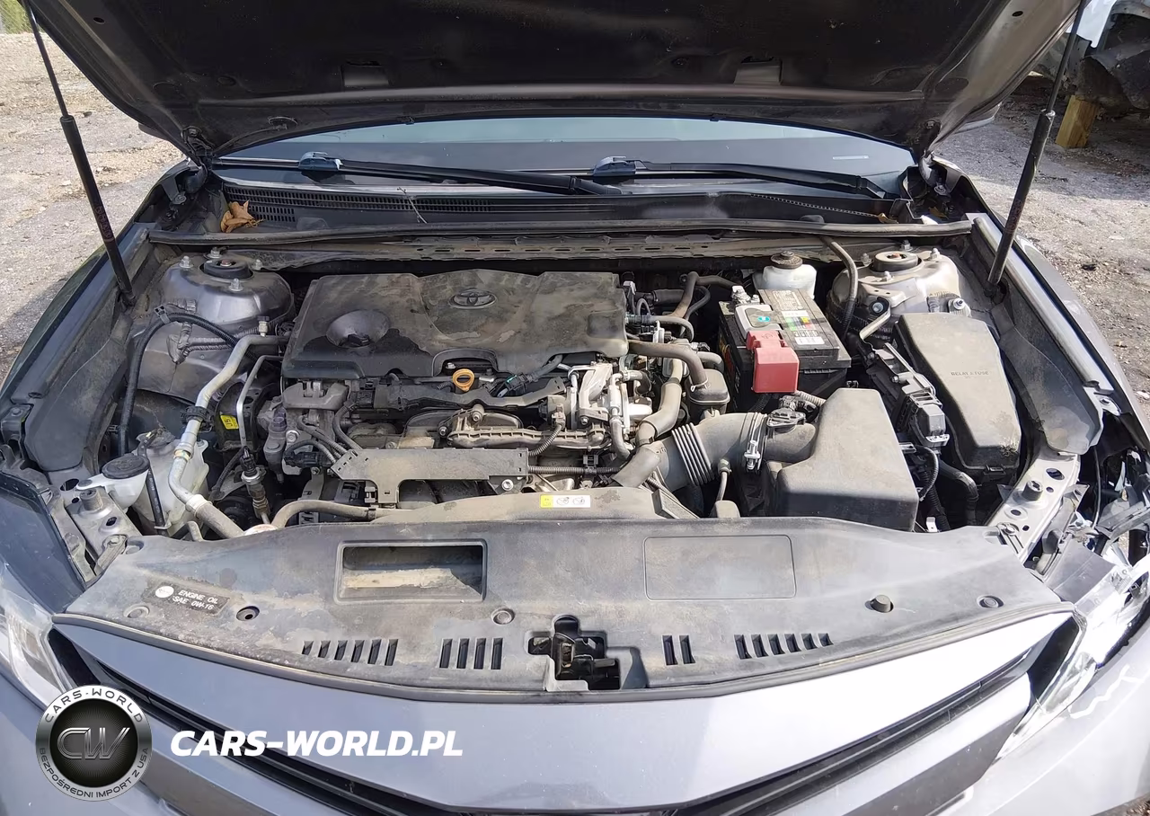 2019 Toyota Camry Le VIN:4T1B11HK5KU267997 - 10
