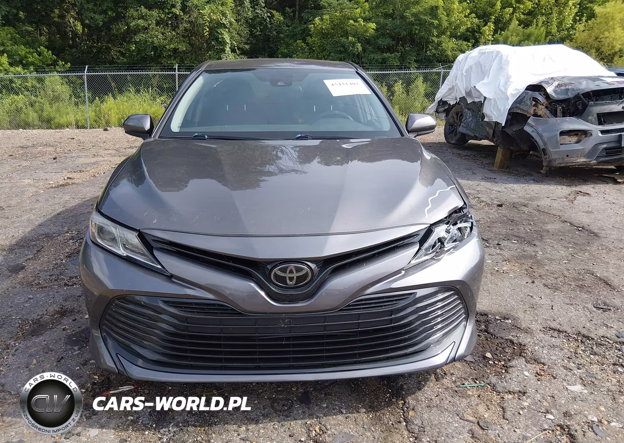2019 Toyota Camry Le VIN:4T1B11HK5KU267997 - 12
