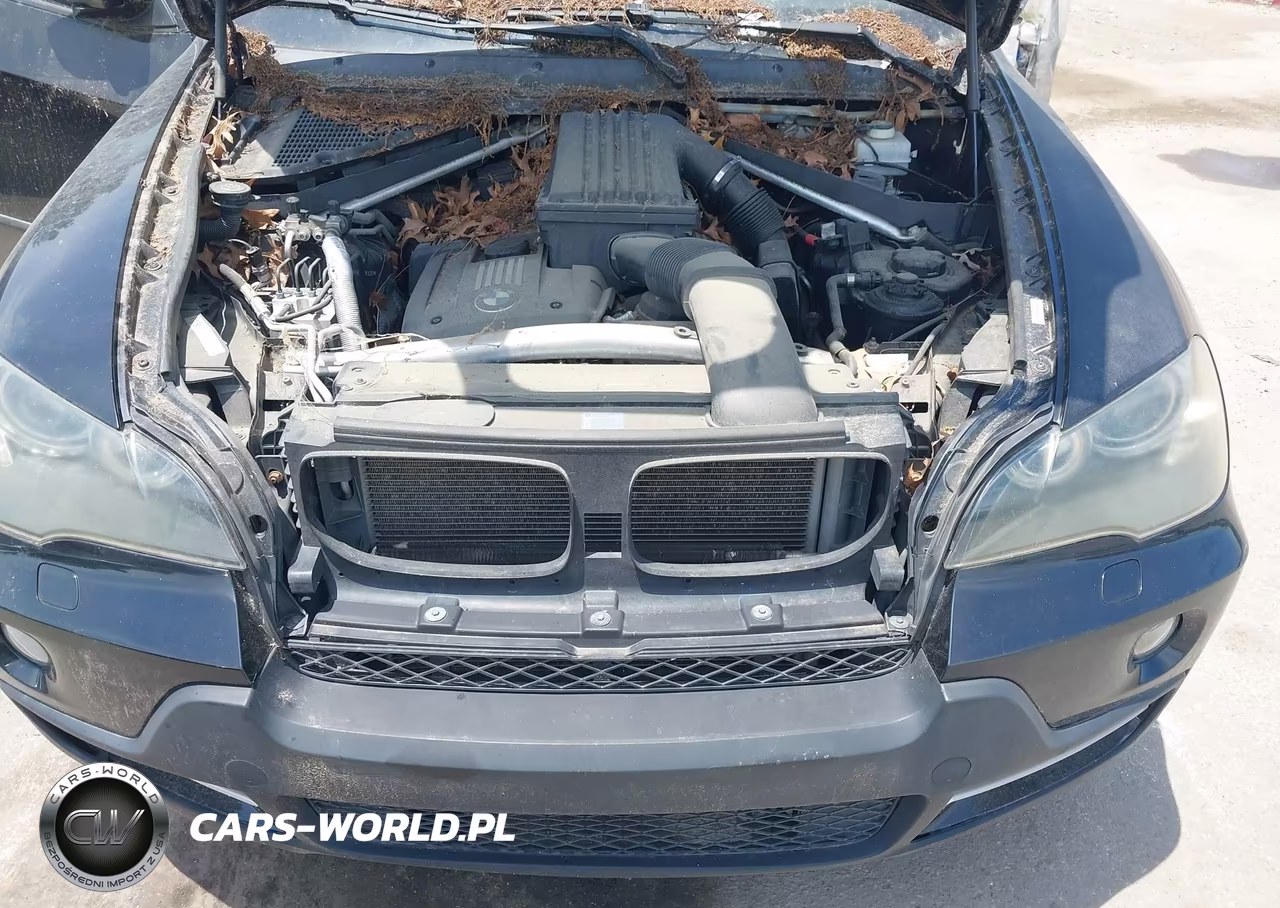 2009 BMW X5 xDrive30I VIN:5UXFE43589L268136 - 10