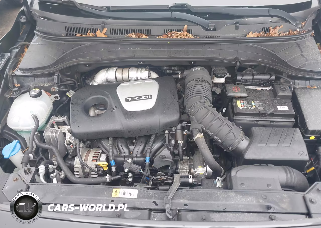 2019 Hyundai Kona Ultimate VIN:KM8K5CA50KU329794 - 10