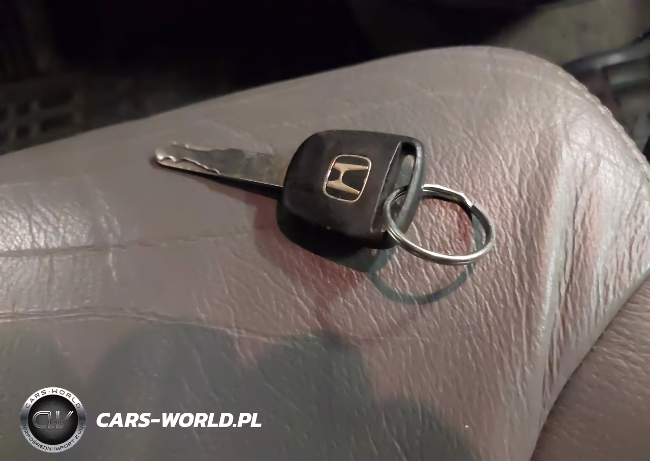 2009 Honda Odyssey Ex-L VIN:5FNRL38749B014841 - 11
