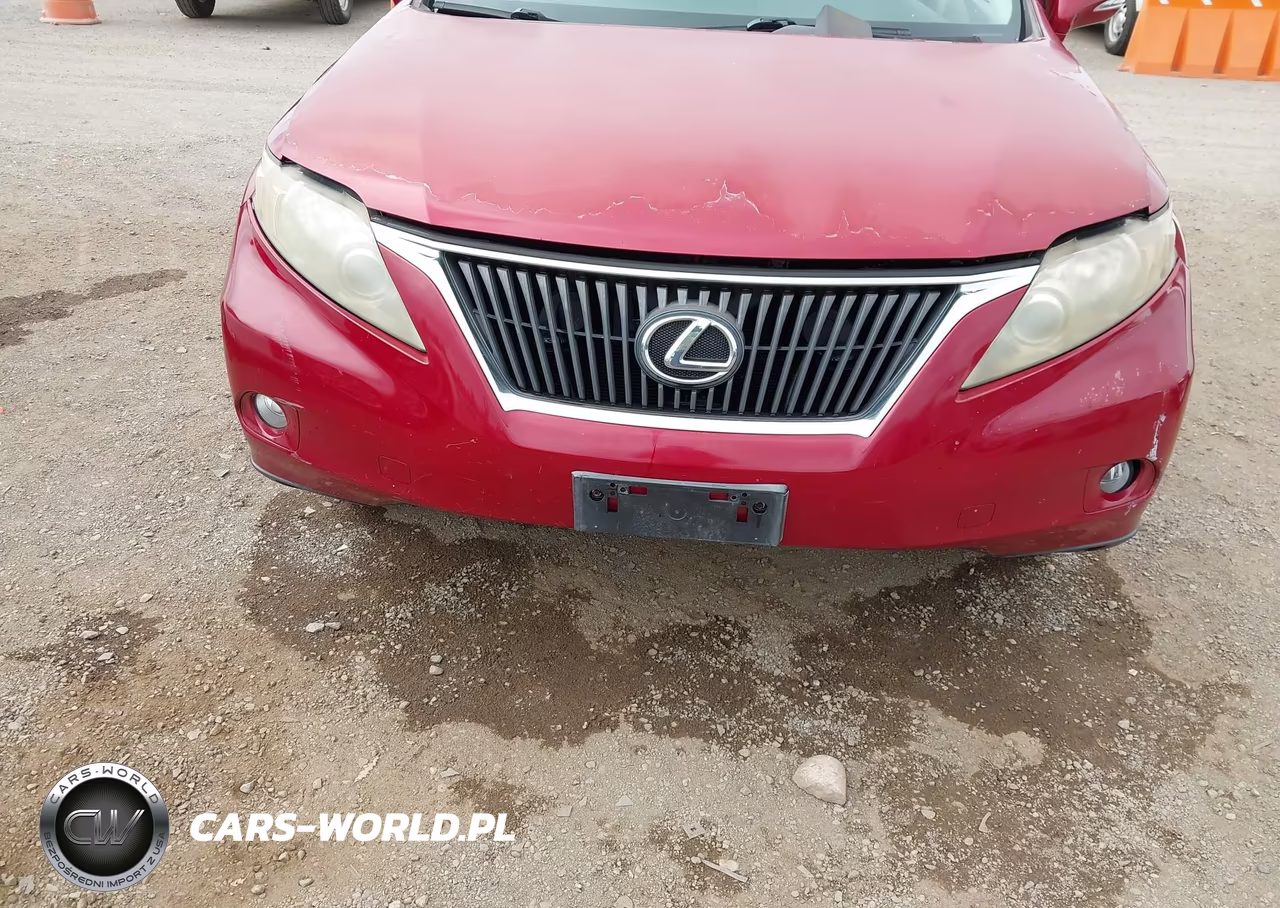 2010 Lexus Rx 350 VIN:JTJZK1BA4A2404483 - 6