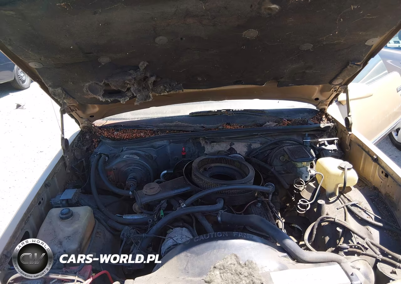 1987 Chevrolet El Camino VIN:3GCCW80H0HS904645 - 10