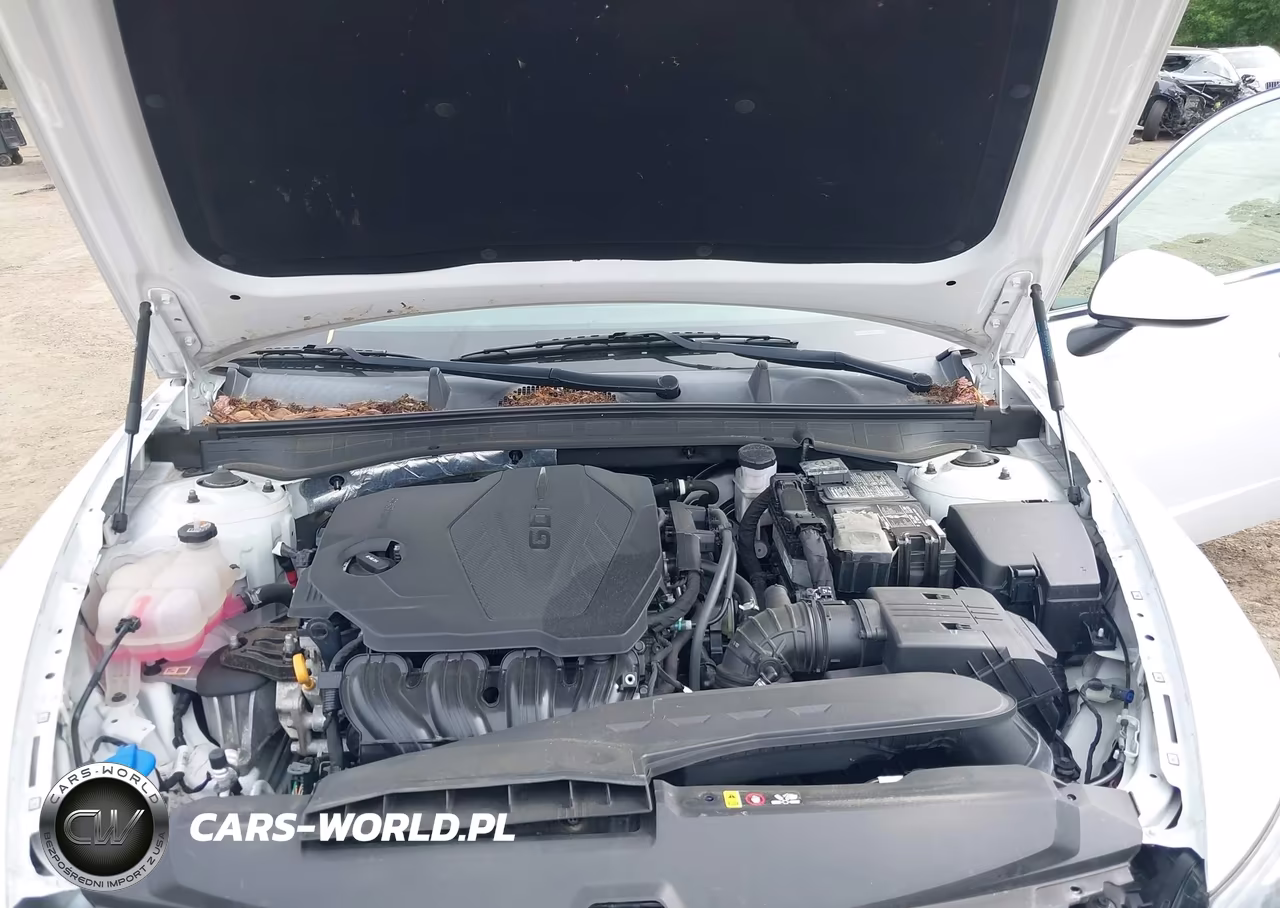 2021 Hyundai Sonata Se VIN:5NPEG4JAXMH088015 - 10