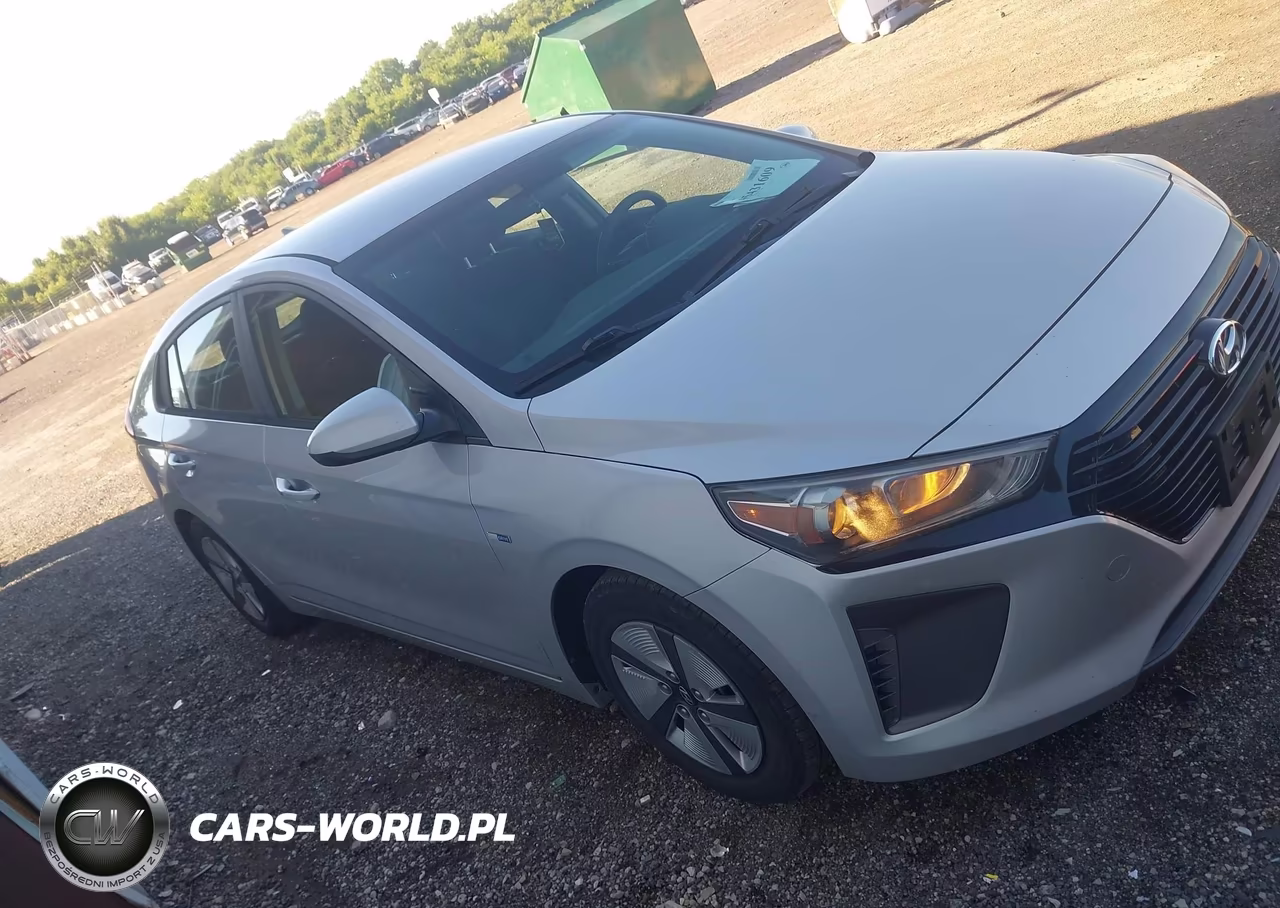 2019 Hyundai Ioniq Hybrid Blue VIN:KMHC65LC6KU106877 - 13