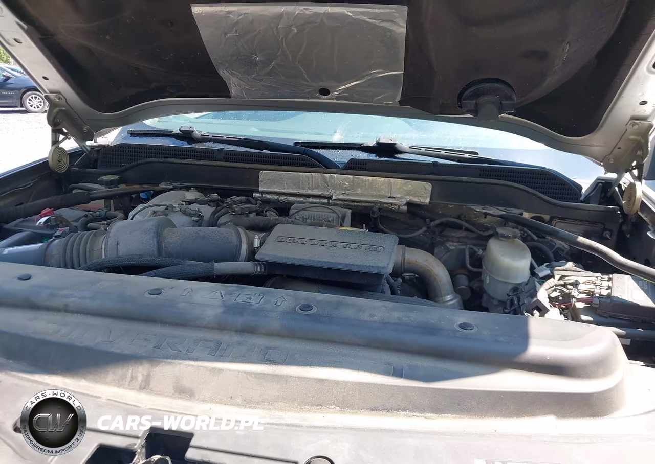 2018 Chevrolet Silverado 2500Hd Lt VIN:1GC1KVEY0JF119949 - 10