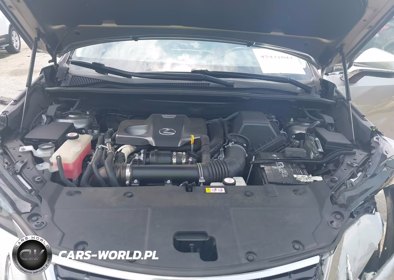 2020 Lexus Nx 300 VIN:JTJAARBZXL5009276 - 10