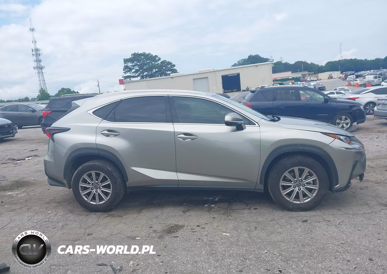 2020 Lexus Nx 300 VIN:JTJAARBZXL5009276 - 13