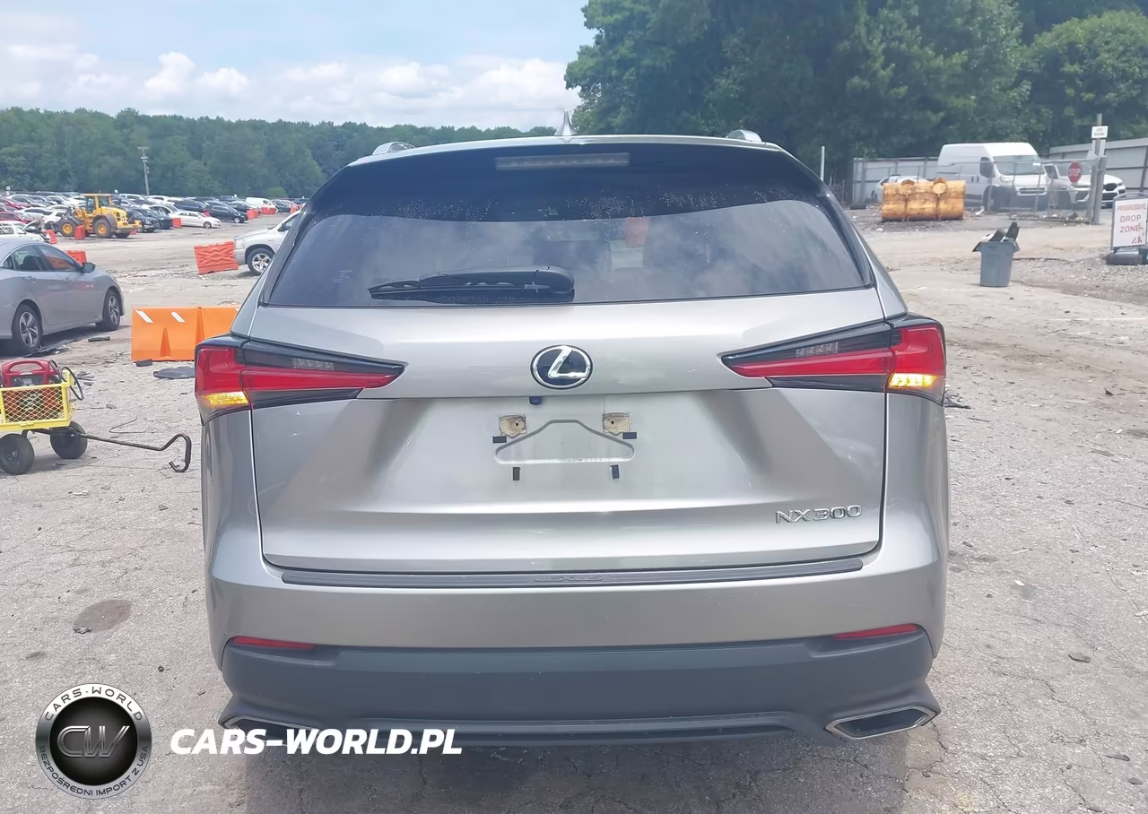 2020 Lexus Nx 300 VIN:JTJAARBZXL5009276 - 16