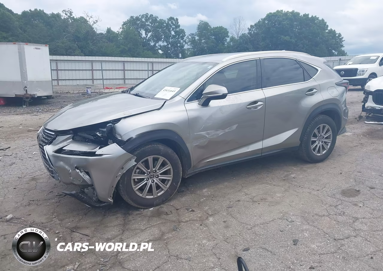 2020 Lexus Nx 300 VIN:JTJAARBZXL5009276 - 2
