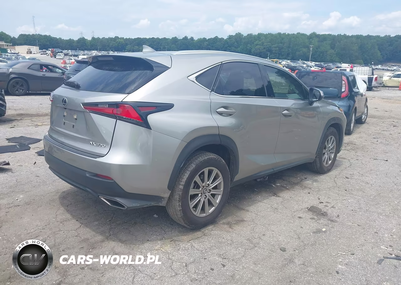 2020 Lexus Nx 300 VIN:JTJAARBZXL5009276 - 4