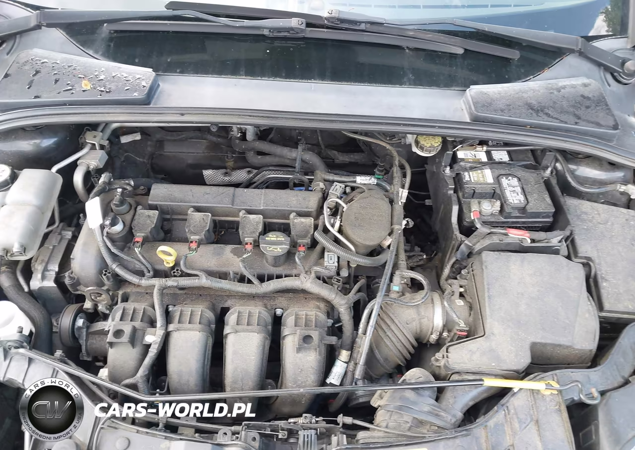 2013 Ford Focus Se VIN:1FADP3F22DL199893 - 10
