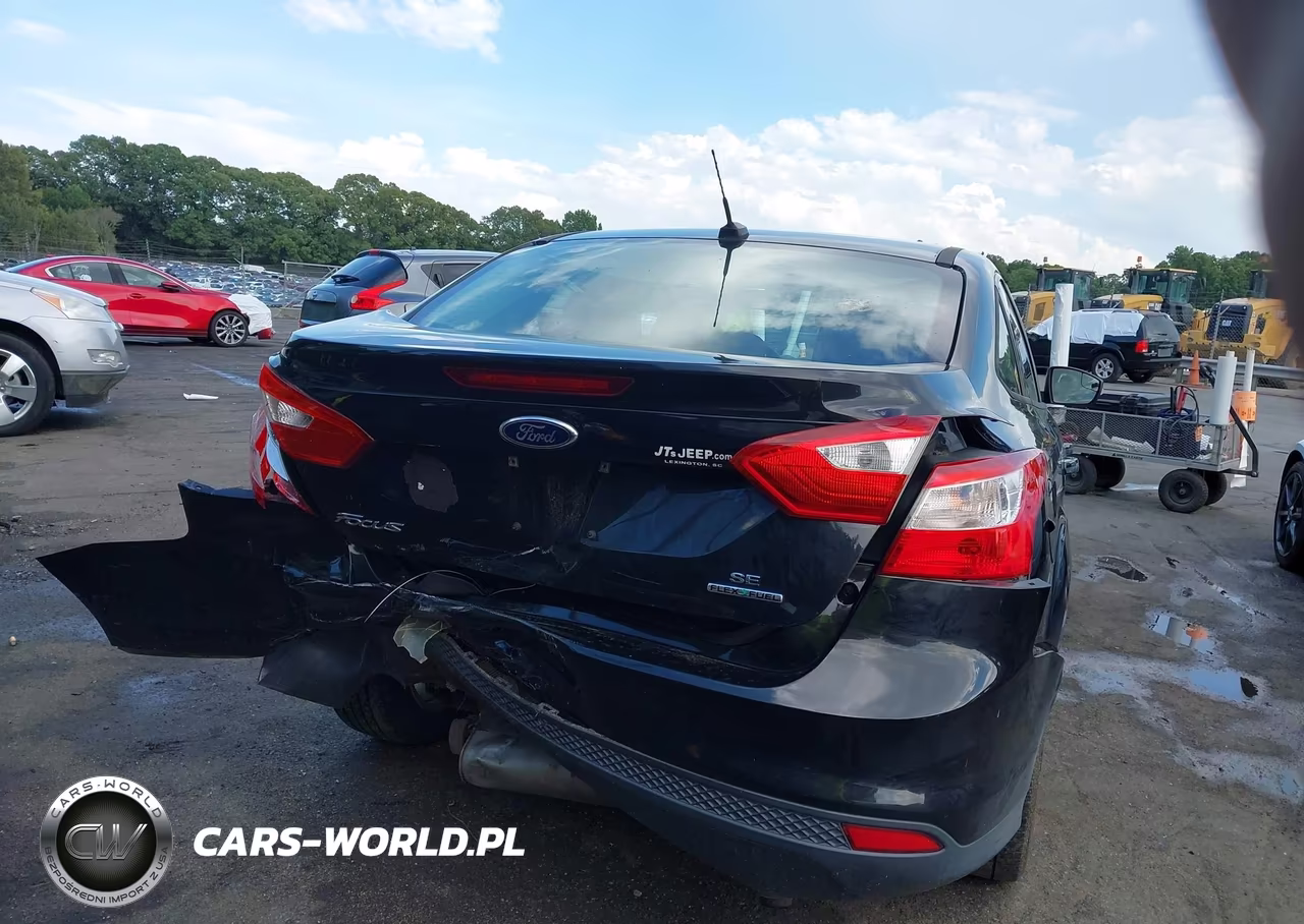 2013 Ford Focus Se VIN:1FADP3F22DL199893 - 16