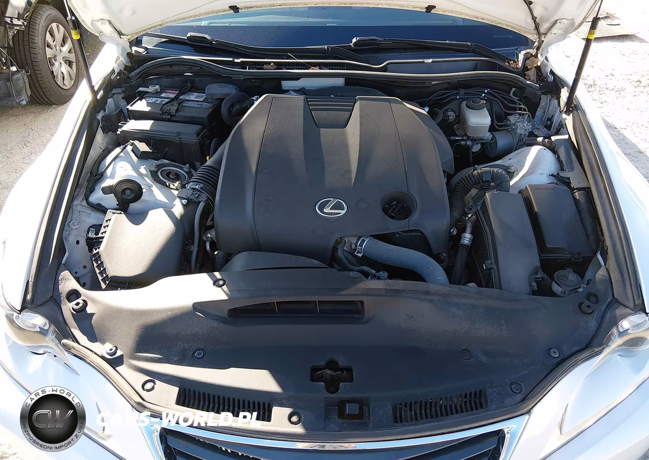 2015 Lexus Is 250 VIN:JTHCF1D23F5028575 - 10