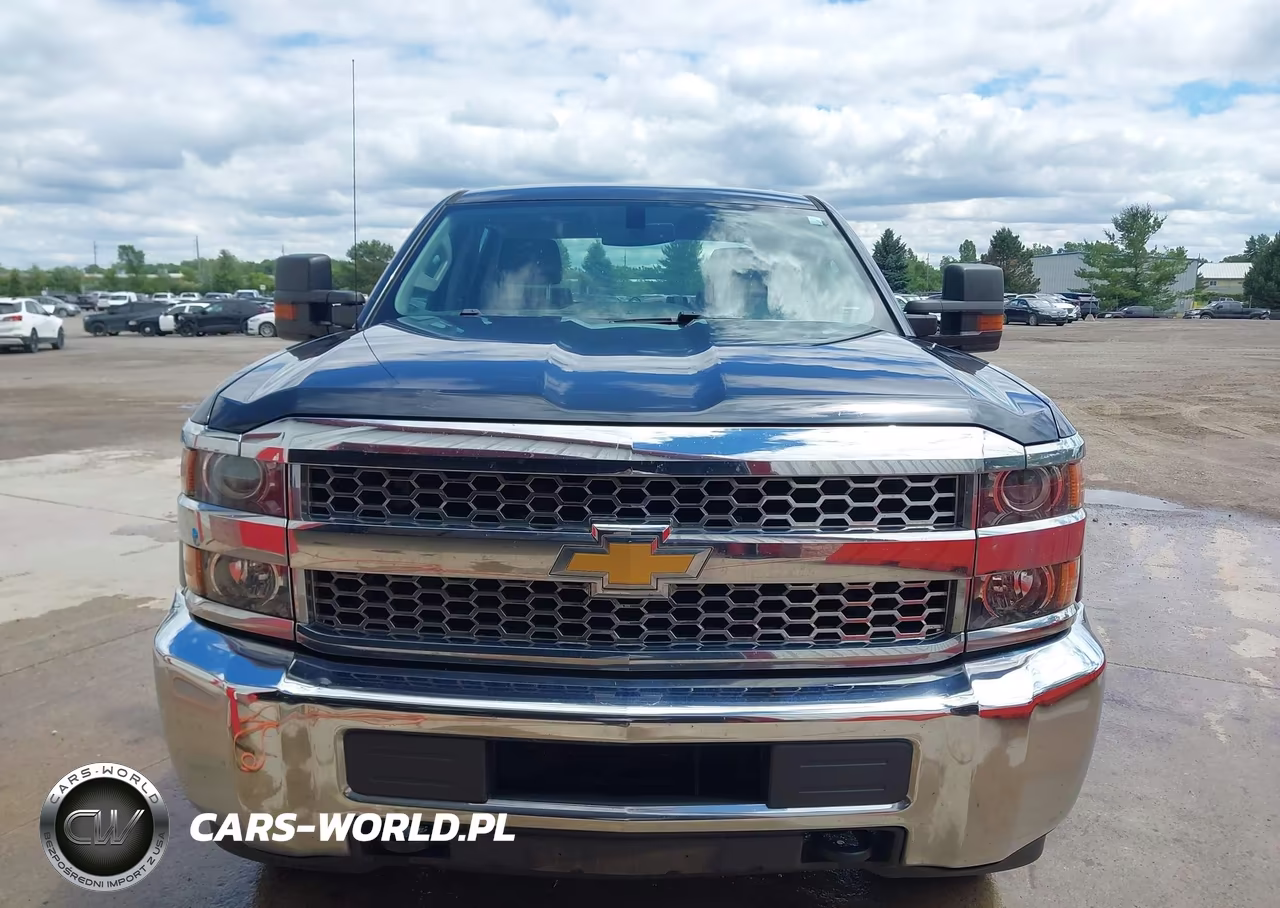 2019 Chevrolet Silverado 3500Hd Wt VIN:1GC4KVCG0KF104442 - 12