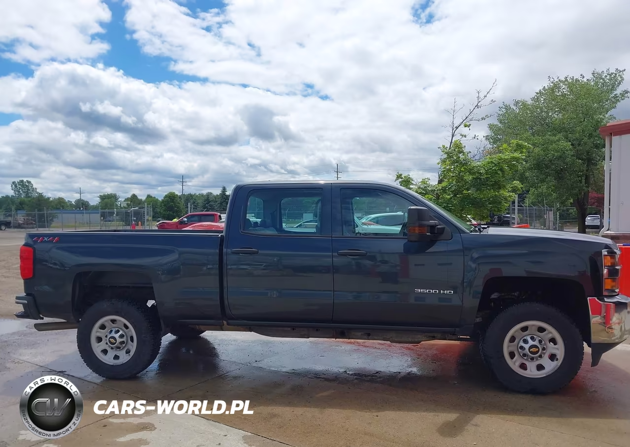2019 Chevrolet Silverado 3500Hd Wt VIN:1GC4KVCG0KF104442 - 13