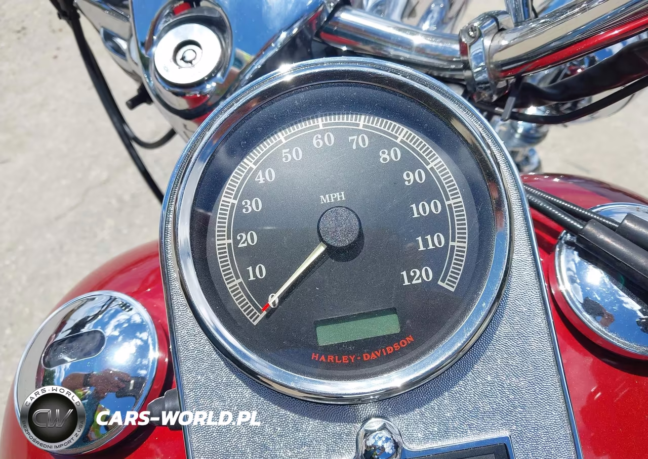 2007 Harley-Davidson Flhrci VIN:1HD1FR4187Y684137 - 7